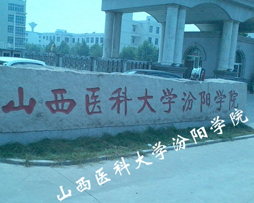 山西醫(yī)科大學汾陽學院